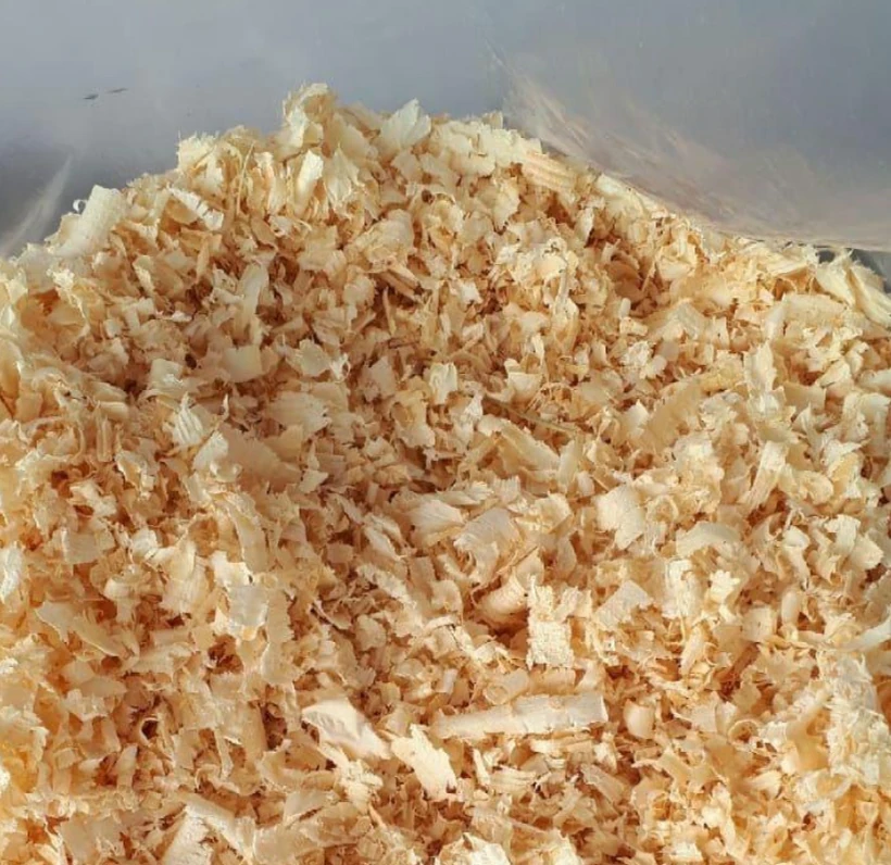 Lettiera per cavalli in sacco da 20 kg (1 sacco)